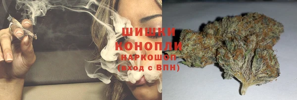 молекула духа Горнозаводск
