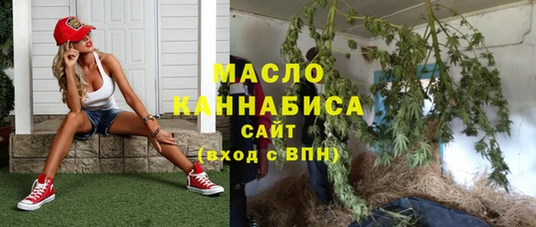 молекула духа Горнозаводск