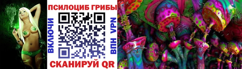 Псилоцибиновые грибы Psilocybine cubensis  Купить где  Ленинск-Кузнецкий 